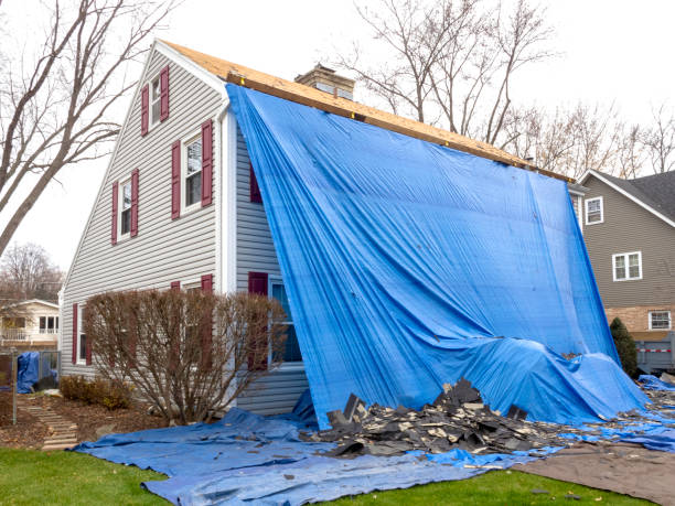  Manly, IA Siding Pros